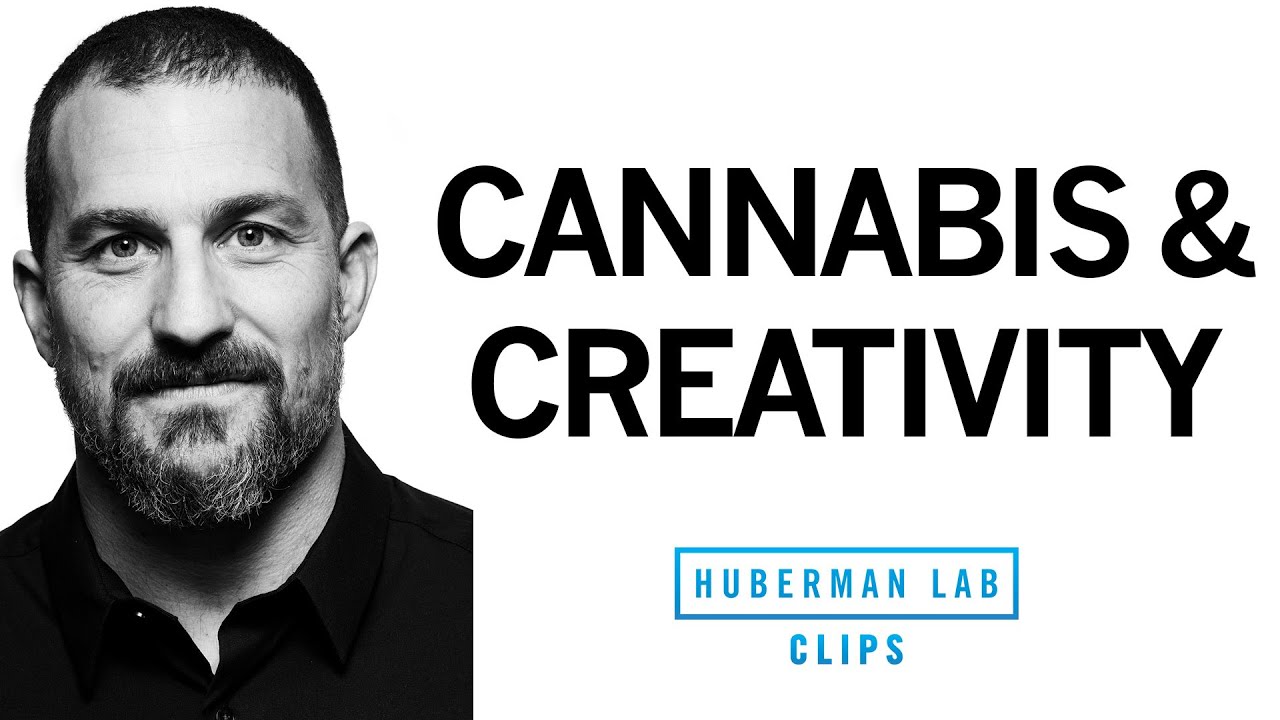 Does Cannabis (Marijuana) Use Increase Creativity? | Dr. Andrew Huberman