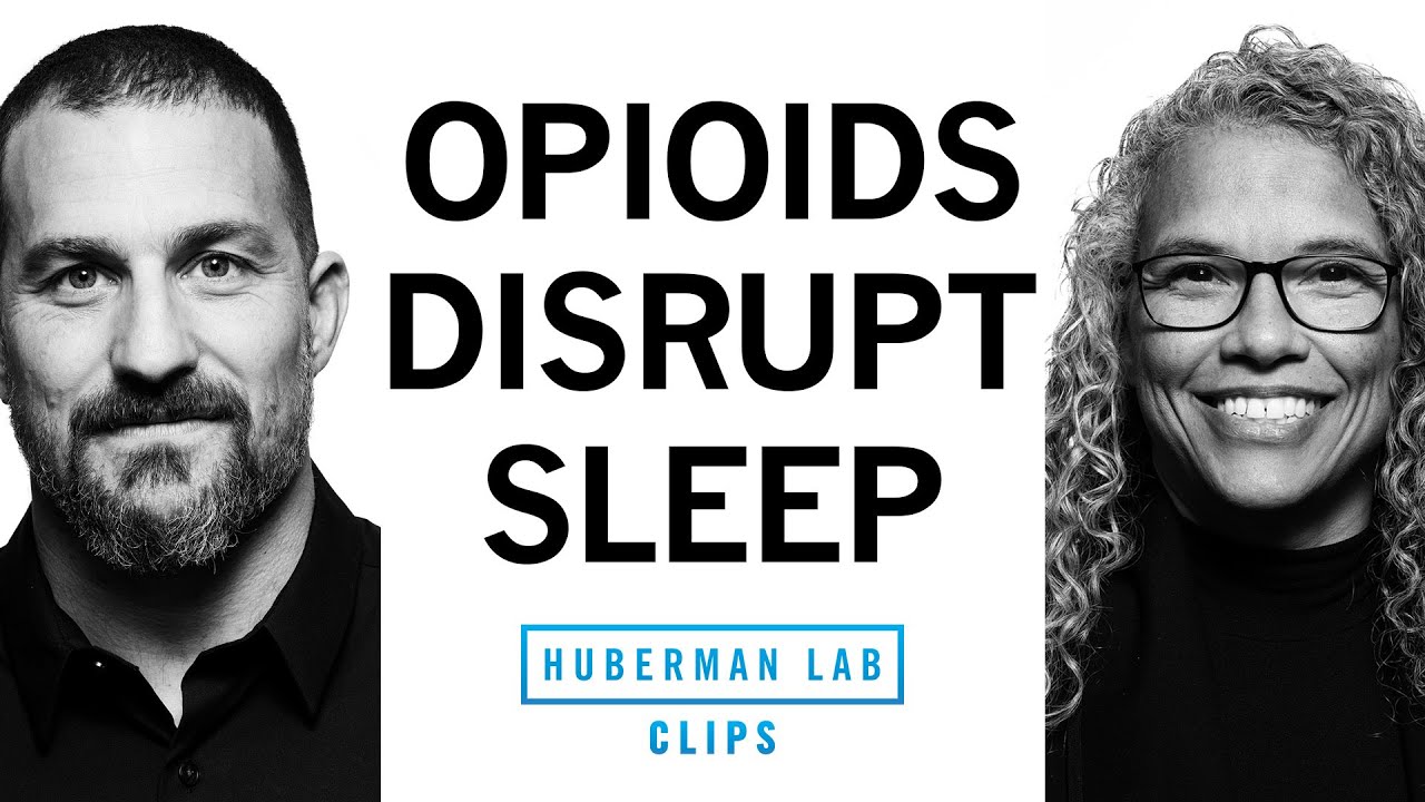 How Opioids Disrupt Quality of Sleep | Dr. Gina Poe & Dr. Andrew Huberman