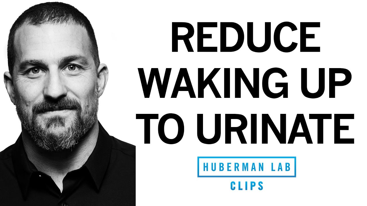 How to Reduce Nighttime Urination | Dr. Andrew Huberman