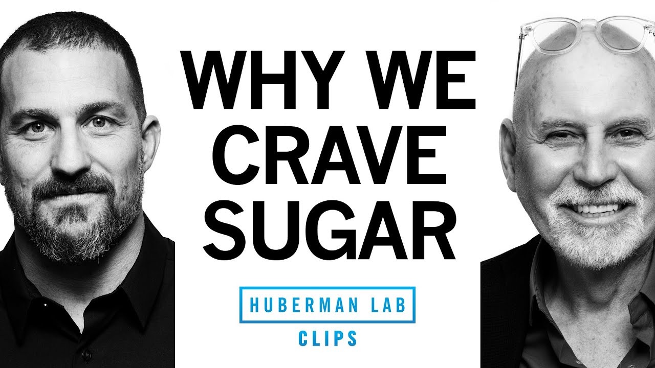 Why Do We Crave Sugar? | Dr. Charles Zuker & Dr. Andrew Huberman